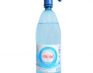 Ella-vita butelka (2)